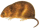 Ostatní hlodavci