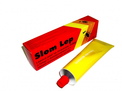 Slom lep